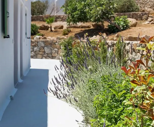 Dioni Mykonos * 帕瑞加