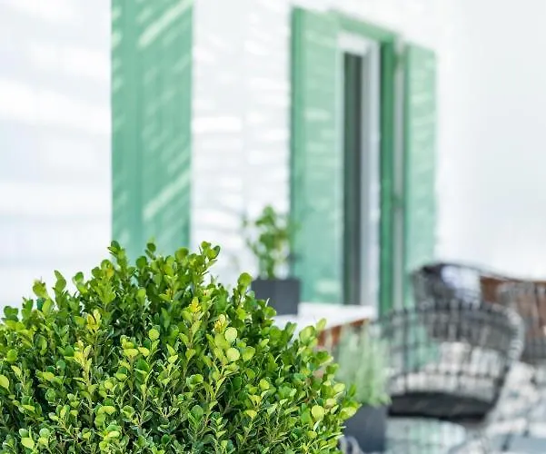 Dioni Mykonos 别墅 帕瑞加