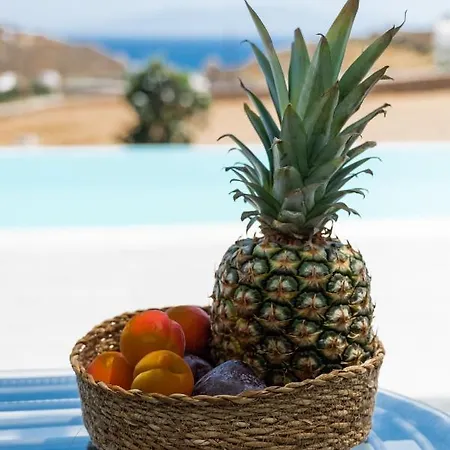 Dioni Mykonos