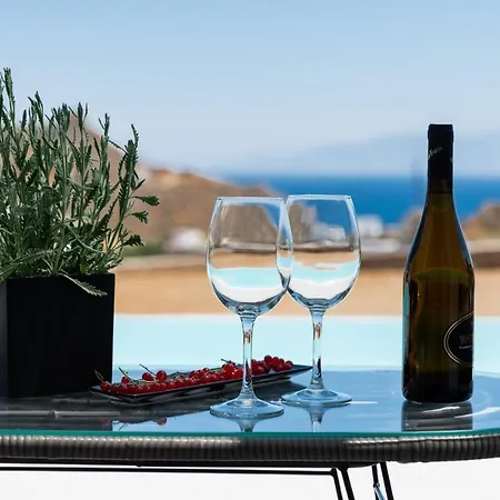 Dioni Mykonos Βίλα Παράγκα