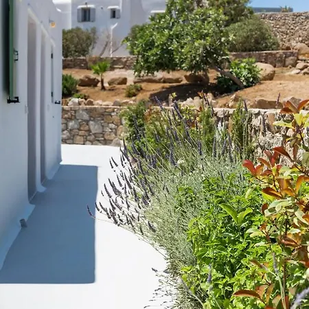 Dioni Mykonos * Παράγκα