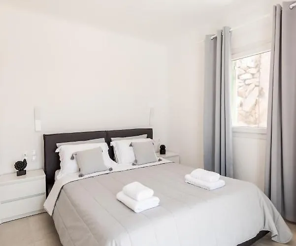 Dioni Mykonos Vila *