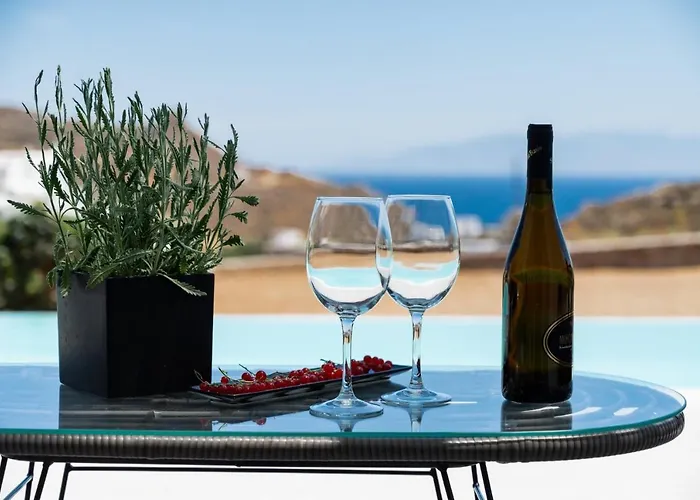 Dioni Mykonos Βίλα Παράγκα